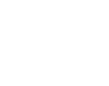 Blumi Studio logo